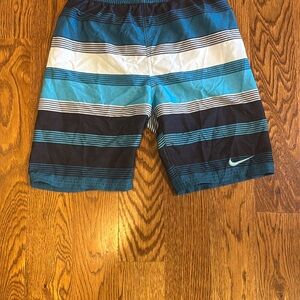 Nike Blue and White Striped Swim Shorts